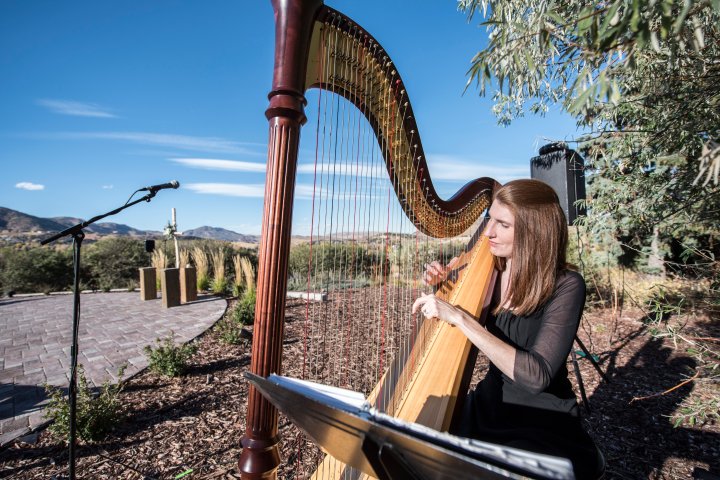 View More: http://dawnsparks.pass.us/branan-ray