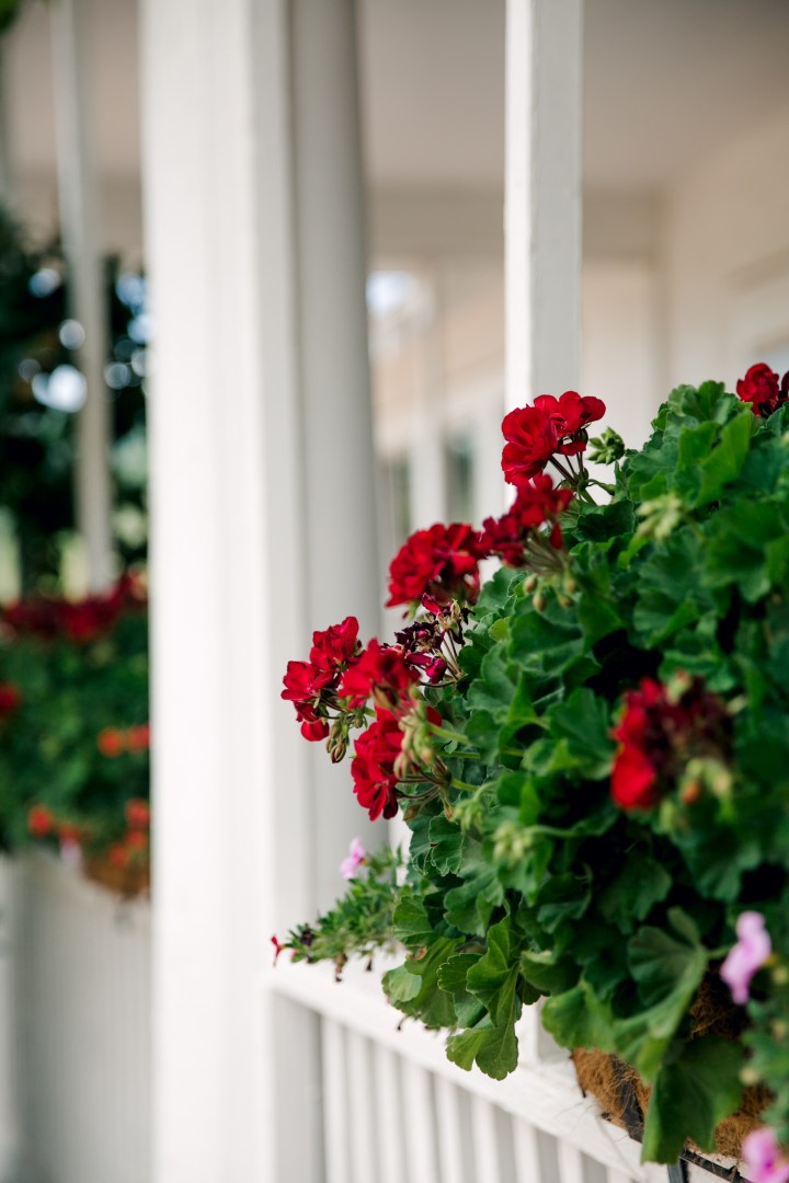 06_22_2018_gettingready8