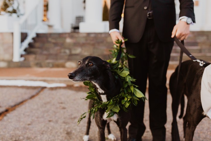 Kricket + Andrew Burris