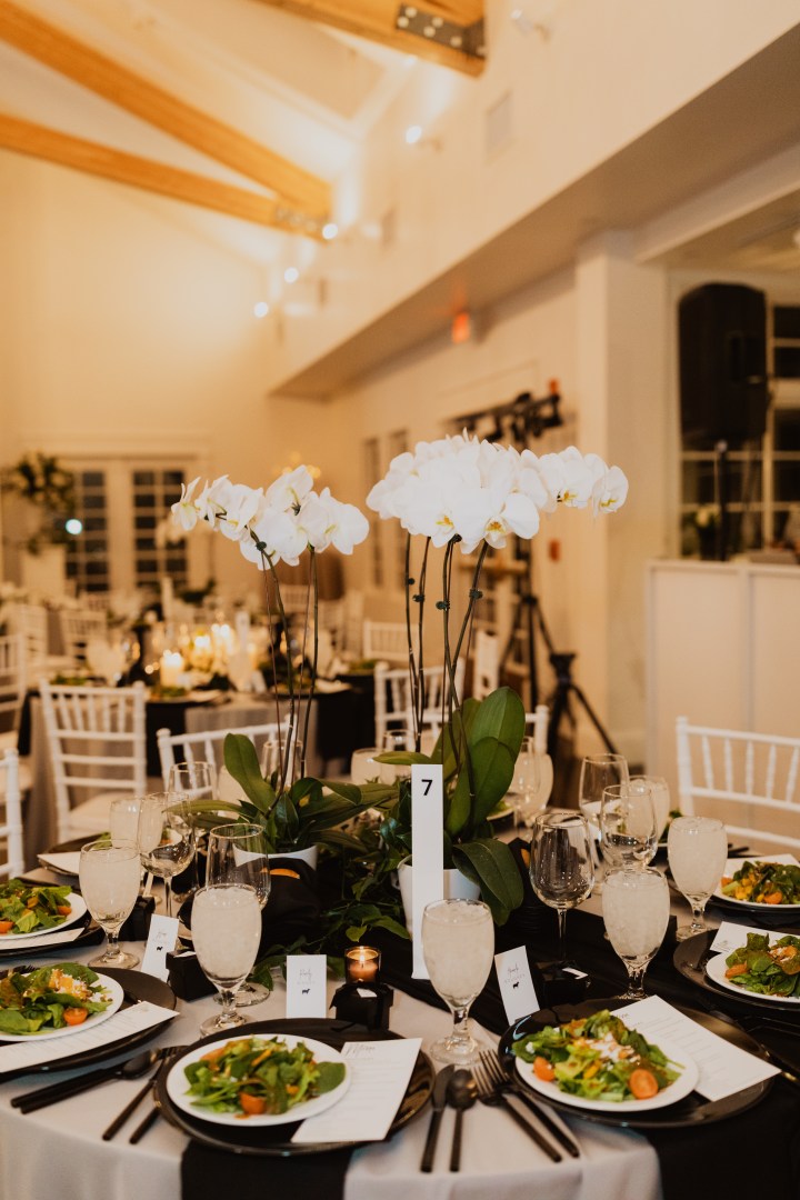 Kricket + Andrew Burris